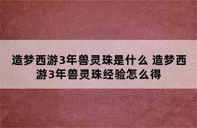 造梦西游3年兽灵珠是什么 造梦西游3年兽灵珠经验怎么得